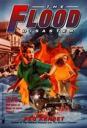 Front cover of The Flood Disaster (FRIGHTMARES) by Peg Kehret