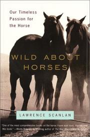 Cover of Wild About Horses by Lawrence Scanlan