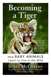 Cover of Becoming a Tiger by Susan Mccarthy