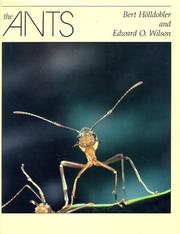 Cover of The ants by Bert Hölldobler
