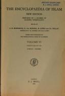 Front cover of Der Islam im Spiegel zeigenössischer Literatur der islamischen Welt by J. Christoph Bürgel