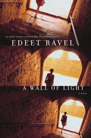 Cover of A wall of light by Edeet Ravel