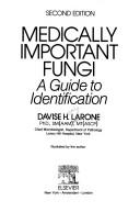 Front cover of Medically important fungi by Davise Honig Larone