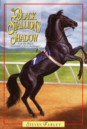 Front cover of The Black Stallion's Shadow (Black Stallion) by Steven Farley