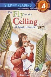 Front cover of The fly on the ceiling by Julie Glass