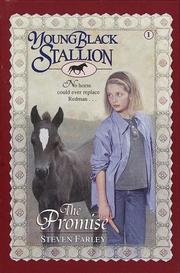 Cover of The promise by Steven Farley