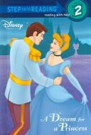 Front cover of A dream for a princess by Melissa Lagonegro