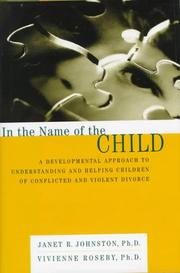 Front cover of In the name of the child by Janet R. Johnston