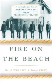 Cover of Fire on the Beach by David Wright Faladé