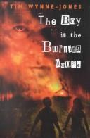 Front cover of The boy in the burning house by Tim Wynne-Jones