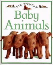 Front cover of Baby animals by Angela Royston