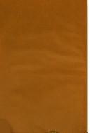 Front cover of Agonies of life by Abhinva Sacheti