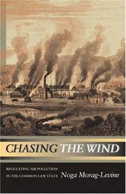 Cover of Chasing the wind by Noga Morag-Levine