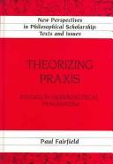 Cover of Theorizing praxis by Paul Fairfield