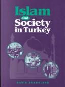 Cover of Islam and society in Turkey by David Shankland