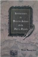 Front cover of Instituciones de derecho indiano en la Nueva España by Nuria Arranz Lara