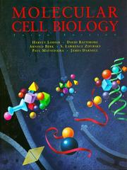 Front cover of Molecular cell biology by Harvey Lodish