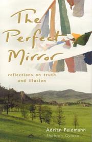 Cover of The Perfect Mirror by Adrian Feldmann