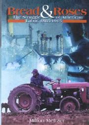 Cover of Bread and Roses by Milton Meltzer