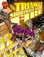 Cover of The Triangle Shirtwaist factory fire by Jessica Sarah Gunderson