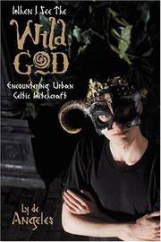 Front cover of When I See The Wild God by Ly De Angeles