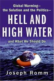 Cover of Hell and High Water by Joseph Romm