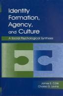 Front cover of Identity formation, agency, and culture by James E. Cote