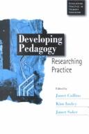 Cover of Developing pedagogy by Kim Insley