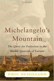 Front cover of Michelangelo's Mountain by Eric Scigliano