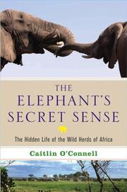 Cover of The Elephant's Secret Sense by Caitlin O'Connell