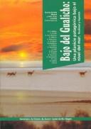 Front cover of Bajo del gualicho by Ricardo Freddy Masera