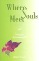 Cover of Where Souls Meet by Dillon Woods