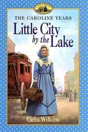 Front cover of Little city by the lake by Celia Wilkins