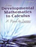 Front cover of From Developmental Mathematics to Calculus: A Road to Success by Faina Goberstein