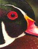 Front cover of Biology, 5th Edition- Part 3 , Biology of Populations by Helena Curtis and N.Sue Barnes