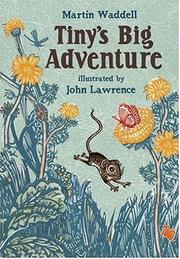 Front cover of Tiny's big adventure by Martin Waddell
