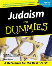 Cover of Judaism for dummies by David Blatner