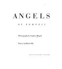 Front cover of Angels of Pompeii by Stephen Brigidi