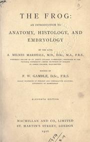Cover of The frog by Arthur Milnes Marshall