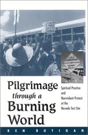 Cover of Pilgrimage Through a Burning World by Ken Butigan