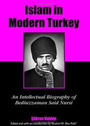 Cover of Islam in modern Turkey by Sukran Vahide