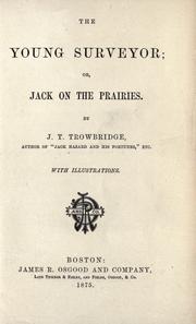 Cover of The young surveyor by John Townsend Trowbridge