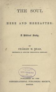 Front cover of The soul here and hereafter by Charles Marsh Mead