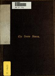 Cover of The snow storm by Esther M. Bourne