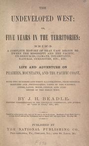 Cover of The undeveloped West by J. H. Beadle