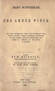 Cover of Maria Schweidler by Wilhelm Meinhold