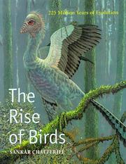 Front cover of The rise of birds by Sankar Chatterjee