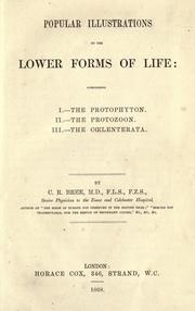 Front cover of Popular illustrations of the lower forms of life by Bree, Charles Robert