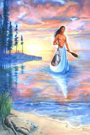 Cover of The white stone canoe by J. D. Edgar