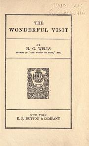 Front cover of The wonderful visit by H. G. Wells